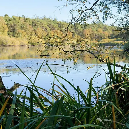 Auszeit am Wernerwald im Haus Frauenpreiss-2